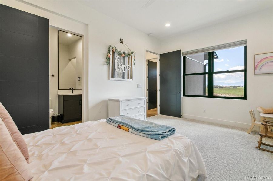 Main level bedroom with 3/4 shower