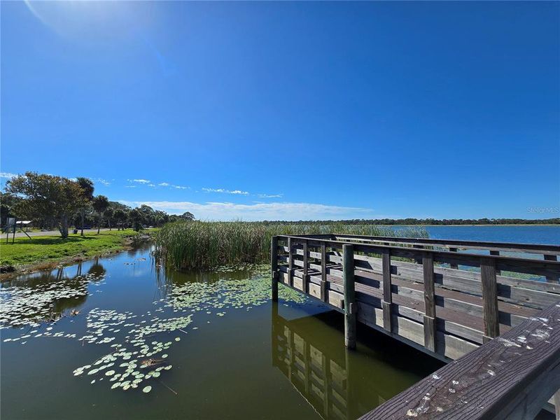 Natural landscape and outdoor views near in St. Petersburg (Image 37). Natural landscape and outdoor views near in St. Petersburg (Image 37).