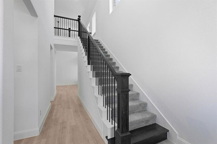 1508 Canter ~ Ready Now