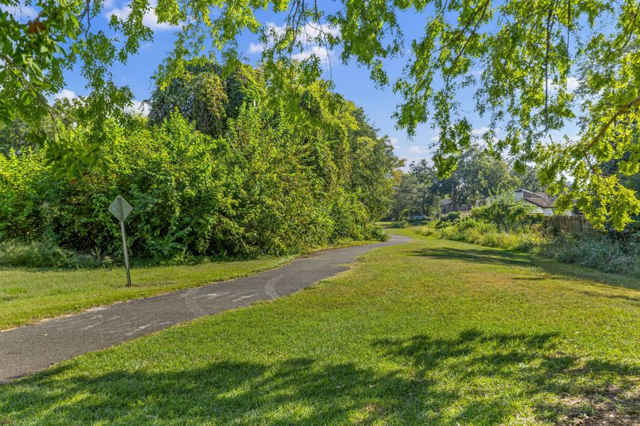 Natural landscape and outdoor views near  in Charleston (Image 33).