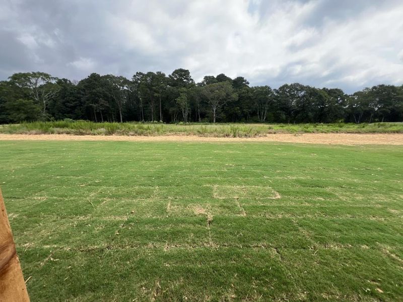 Natural landscape and outdoor views near in Good Hope (Image 31). Natural landscape and outdoor views near in Good Hope (Image 31).