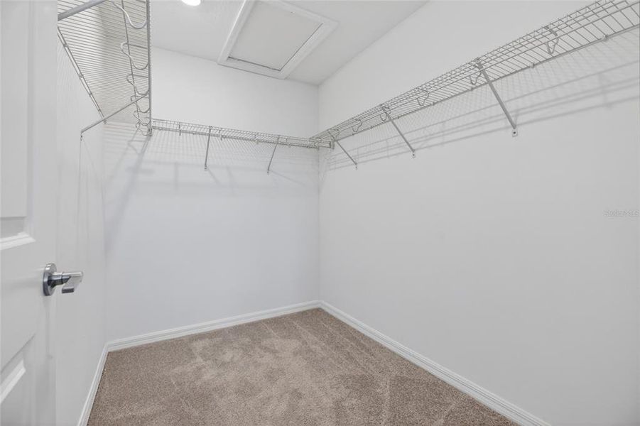 Spacious, unfurnished interior of a new home in , Wesley Chapel (Image 24).