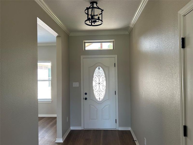 Entryway featuring ornamental molding, dark wood-style flooring, a textured wall, and a textured ceiling