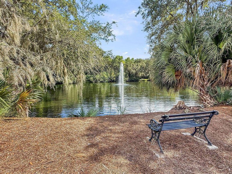 Natural landscape and outdoor views near  in North Charleston (Image 35).