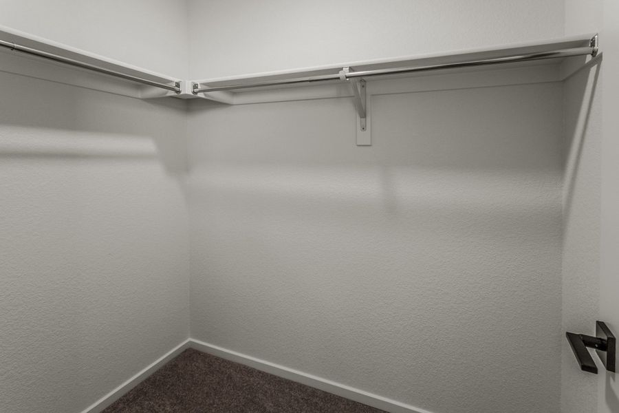Spacious, unfurnished interior of a new home in Bloom, Fort Collins (Image 23).