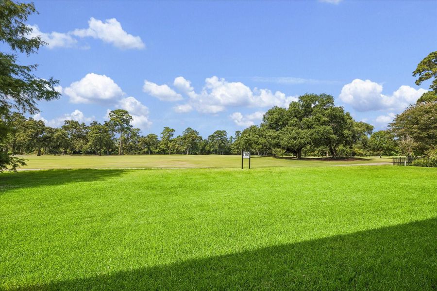 Natural landscape and outdoor views near  in Houston (Image 39).