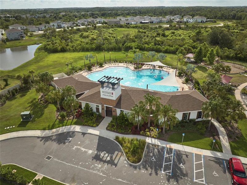 Community amenities in Westgate at Avalon Park, Wesley Chapel (Image 55).