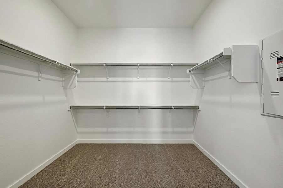 Spacious closet with dark colored carpet