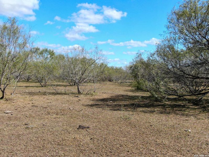 Natural landscape and outdoor views near  in Stockdale (Image 8).