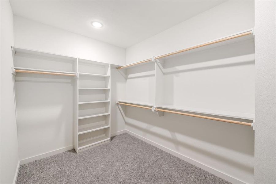 Spacious closet with carpet flooring