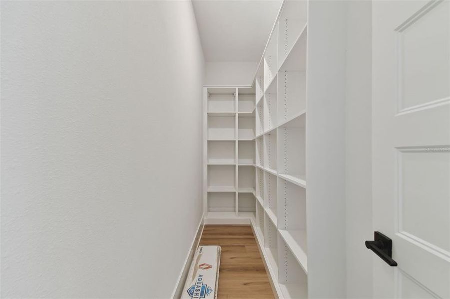 Spacious, unfurnished interior of a new home in , Tampa (Image 37).