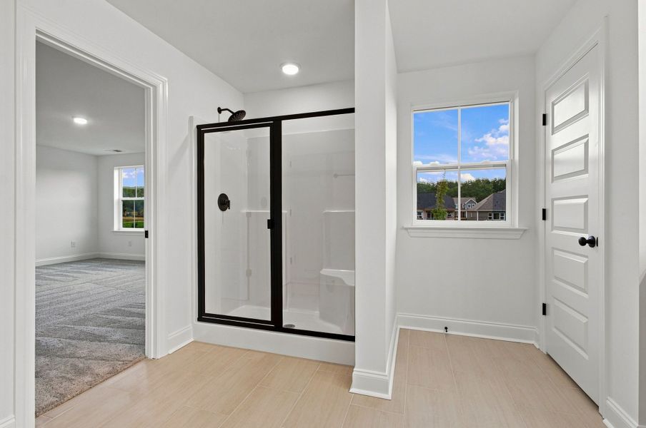 Owner's Bath