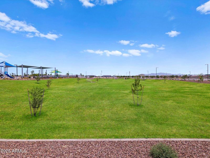 Allure Vista Community 19 Allure Vista Community 19