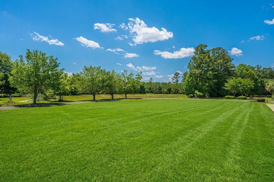 Natural landscape and outdoor views near  in St. George (Image 43).