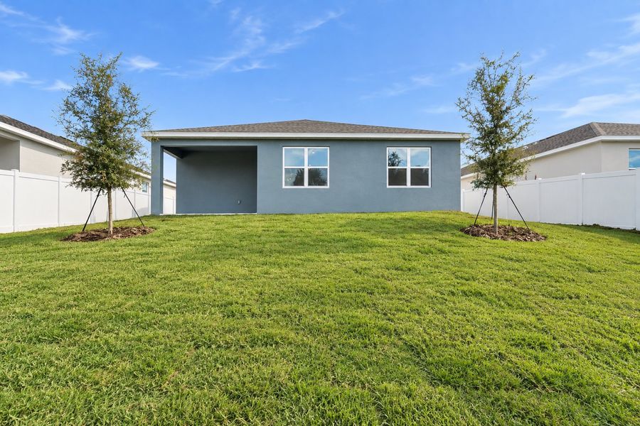 Large Backyard