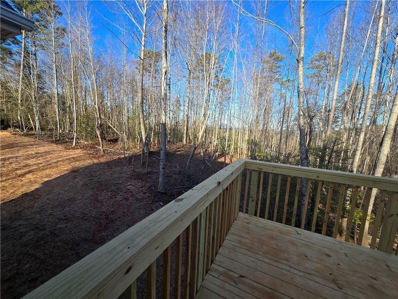 Natural landscape and outdoor views near  in Demorest (Image 30).