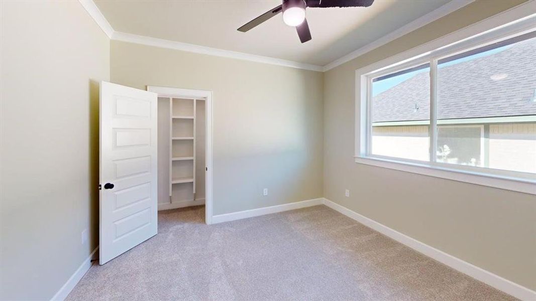 Unfurnished bedroom featuring crown molding, a walk in closet, light colored carpet, baseboards, and a ceiling fan