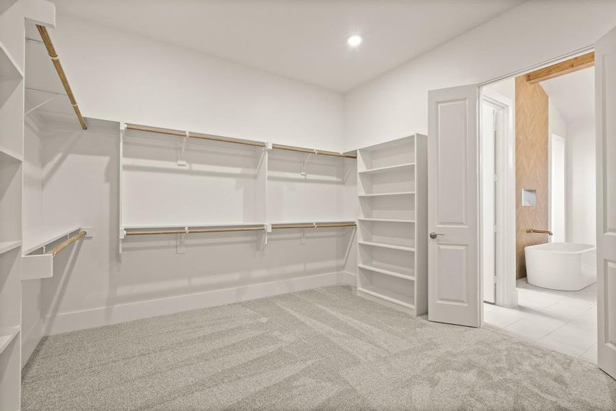 Spacious, unfurnished interior of a new home in Chapel View, Heath (Image 30).