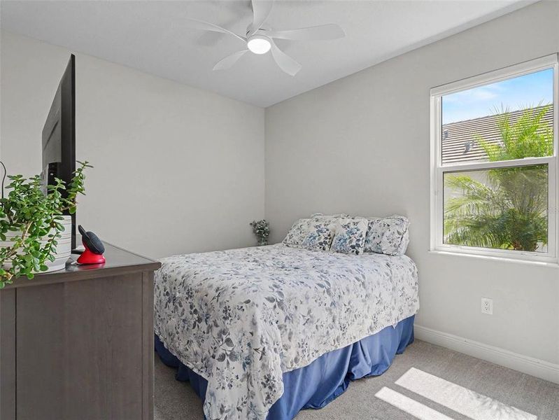 Furnished interior view inside a new home in , Sarasota (Image 17). Furnished interior view inside a new home in , Sarasota (Image 17).