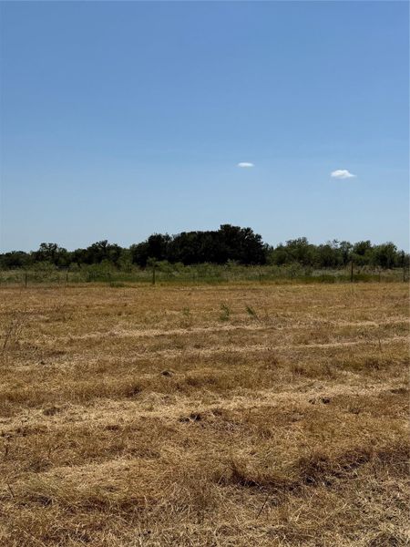 Sprawling open pastures sit framed by mature trees under a clear blue sky.