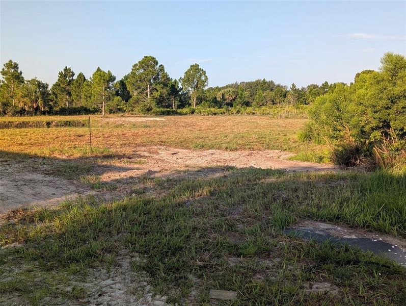 Natural landscape and outdoor views near  in Punta Gorda (Image 35).