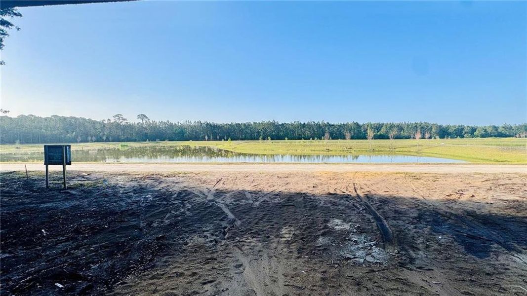 Site preparation for new homesites in , Eustis (Image 9).
