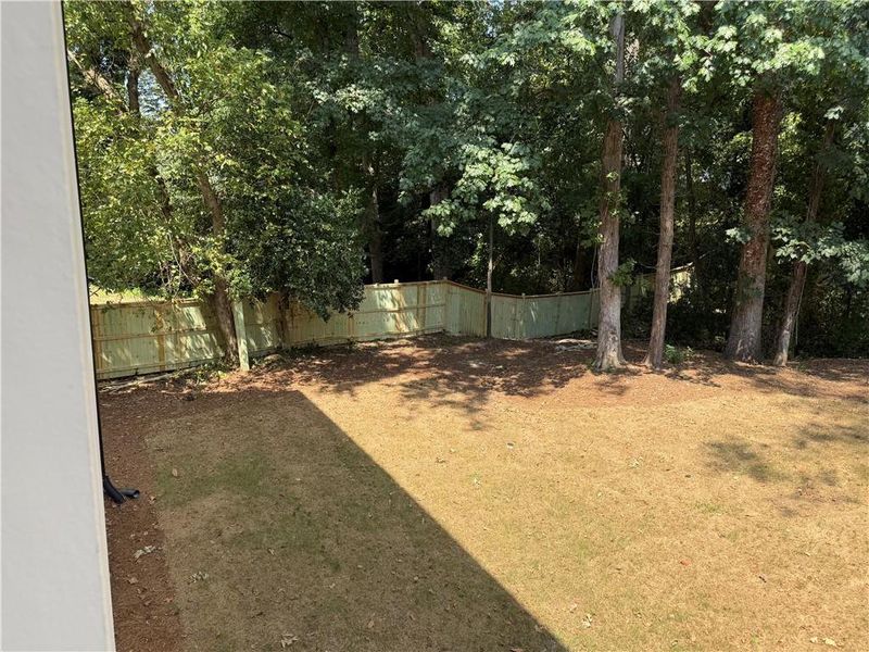 Natural landscape and outdoor views near  in Atlanta (Image 79).