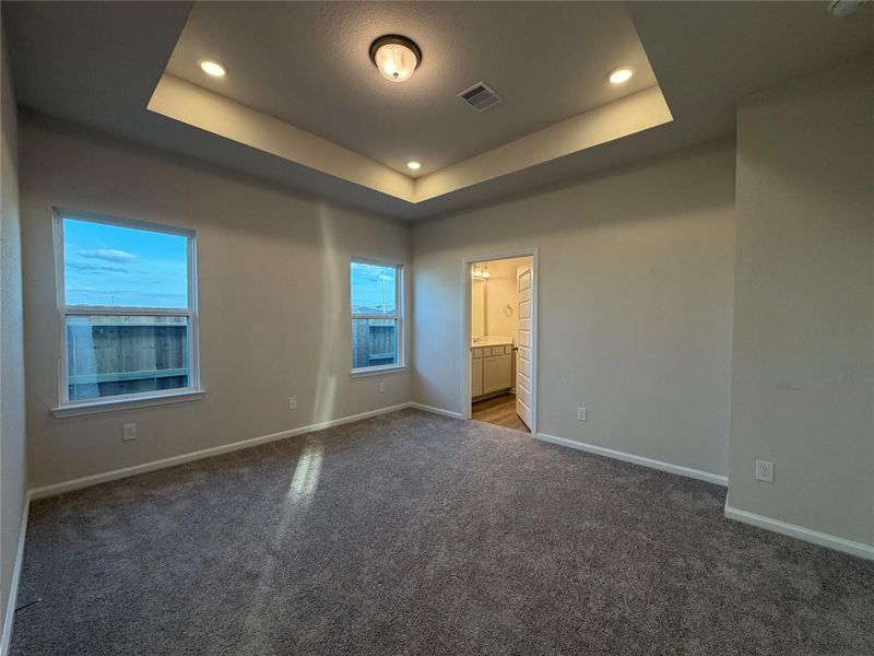 The Mockingbird II- Primary Suite with Tray Ceiling