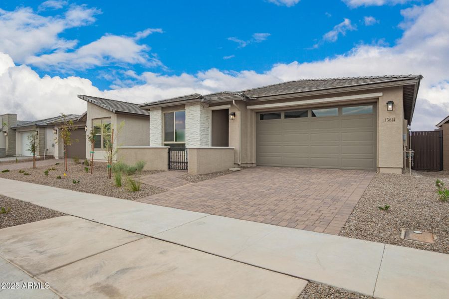 05 - Vogel 05 - Vogel