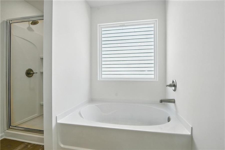 Furnished interior view inside a new home in Castleberry Pointe, Dawsonville (Image 4).