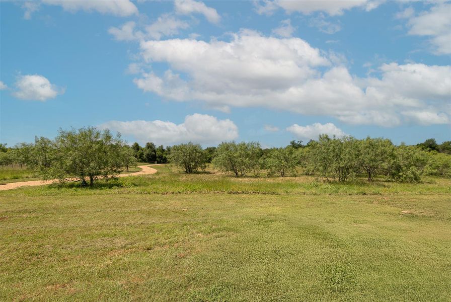 View of grassy yard featuring a rural view