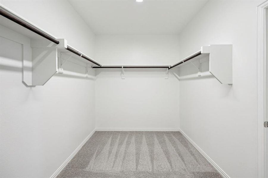 Primary Walk in closet featuring carpet flooring