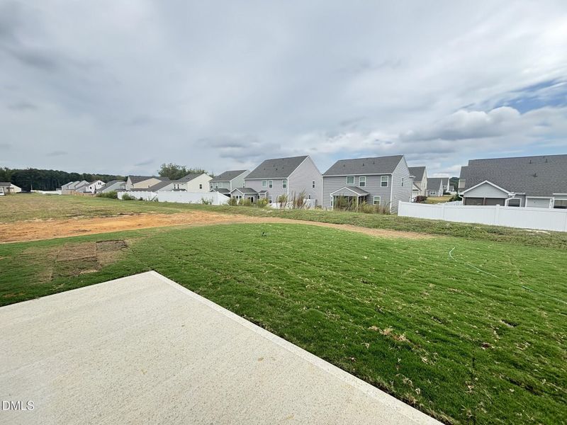 Patio/Backyard Patio/Backyard
