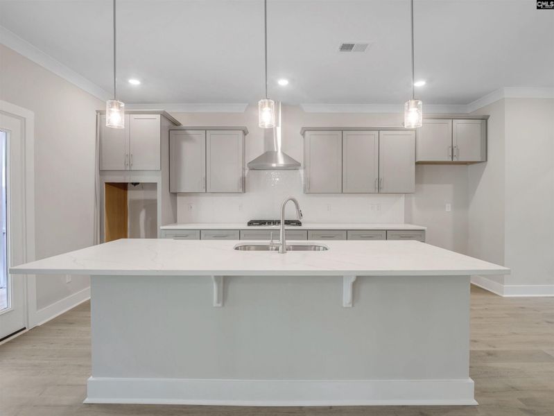 Furnished interior view inside a new home in Collins Cove, Chapin (Image 7). Furnished interior view inside a new home in Collins Cove, Chapin (Image 7).
