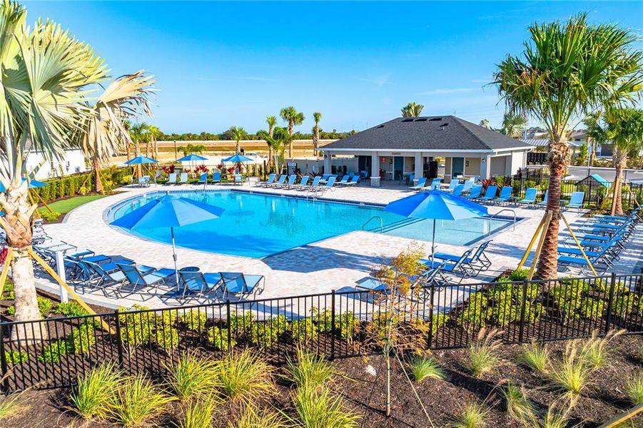 Community amenities in Indigo Creek, Apollo Beach (Image 20). Community amenities in Indigo Creek, Apollo Beach (Image 20).