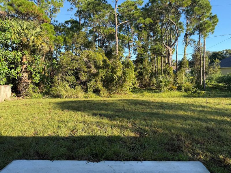 Natural landscape and outdoor views near in Vero Beach (Image 14). Natural landscape and outdoor views near in Vero Beach (Image 14).