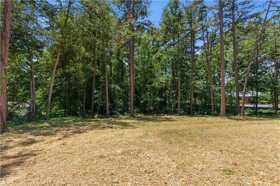 Natural landscape and outdoor views near  in Cartersville (Image 24).