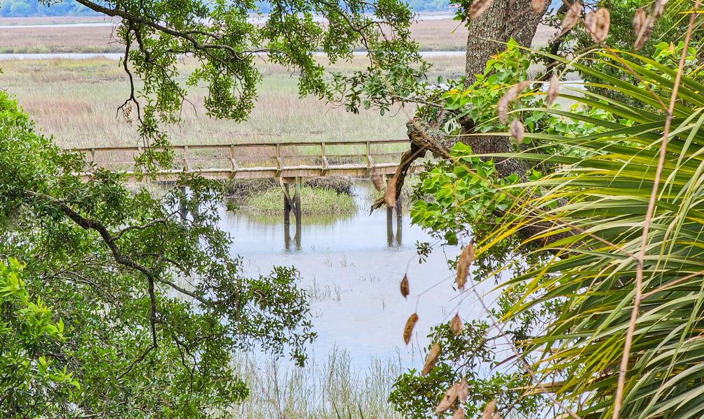 Natural landscape and outdoor views near in Seabrook (Image 81). Natural landscape and outdoor views near in Seabrook (Image 81).