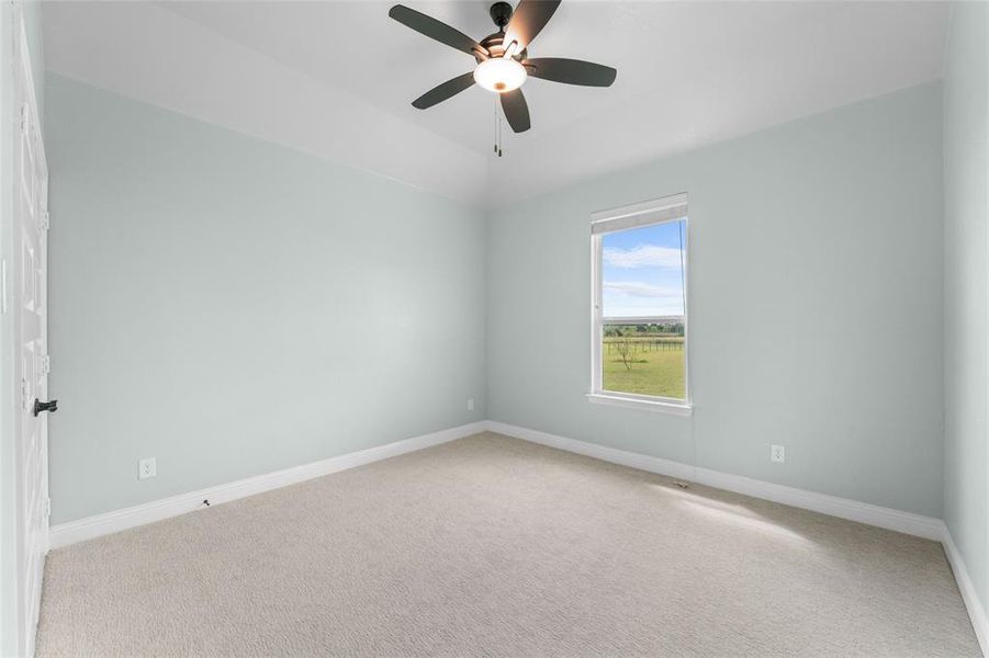 Spare room with carpet floors and ceiling fan