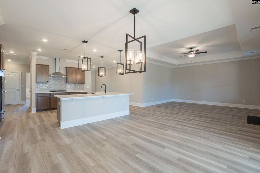 Spacious, unfurnished interior of a new home in The Cove, Sumter (Image 30). Spacious, unfurnished interior of a new home in The Cove, Sumter (Image 30).