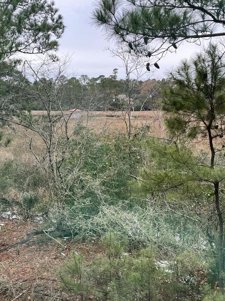 Natural landscape and outdoor views near in Charleston (Image 42). Natural landscape and outdoor views near in Charleston (Image 42).