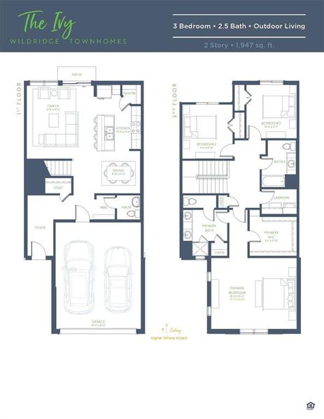 Ivy_ VS_2571_6.27.25 nonbranded_Page_1