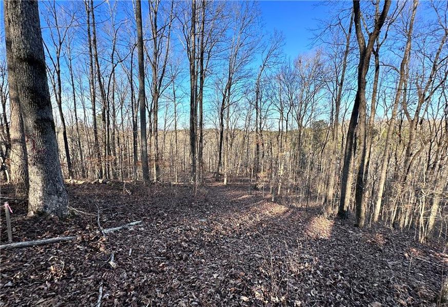 Natural landscape and outdoor views near  in Cumming (Image 7).
