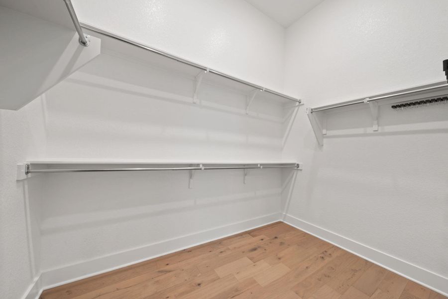 Spacious closet featuring light wood finished floors