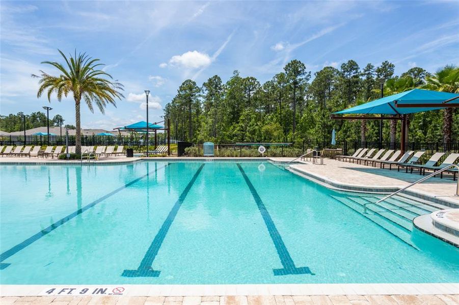 Community amenities in , Bunnell (Image 24).