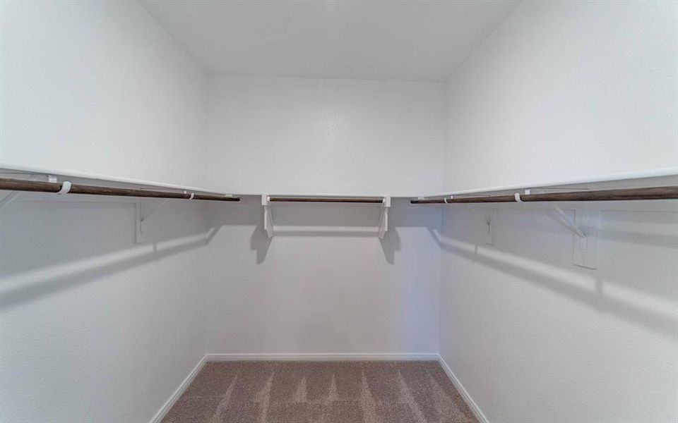 Spacious walk-in closet featuring white walls, light brown carpet, and ample shelving and hanging rods