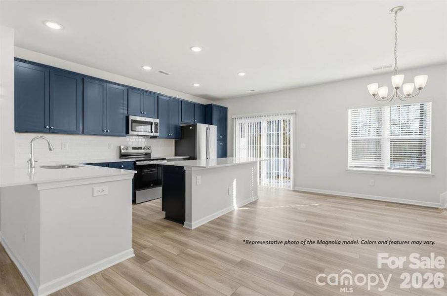 Gourmet Kitchen Dining Area
