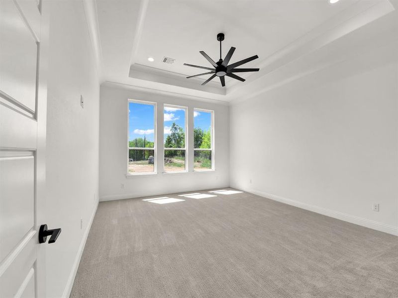 Carpeted empty room with ceiling fan, baseboards, visible vents, and a raised ceiling Carpeted empty room with ceiling fan, baseboards, visible vents, and a raised ceiling