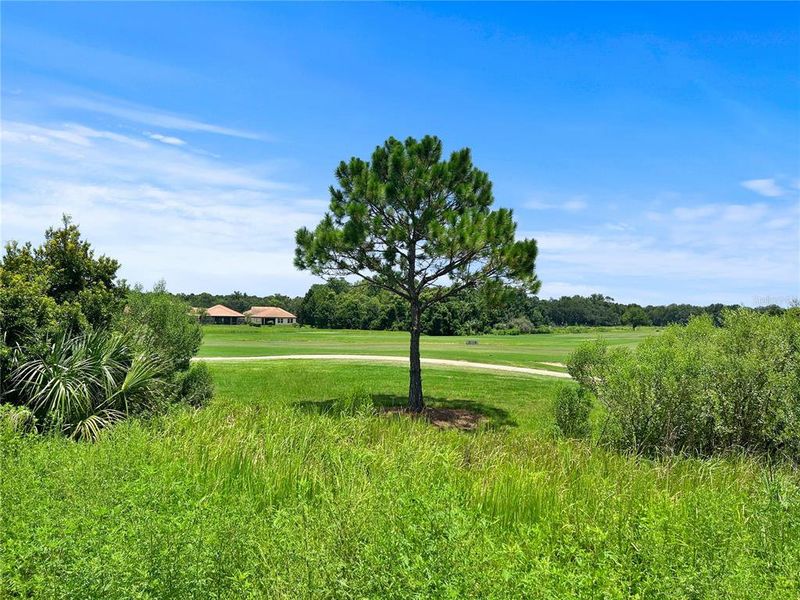 Natural landscape and outdoor views near  in Davenport (Image 31).