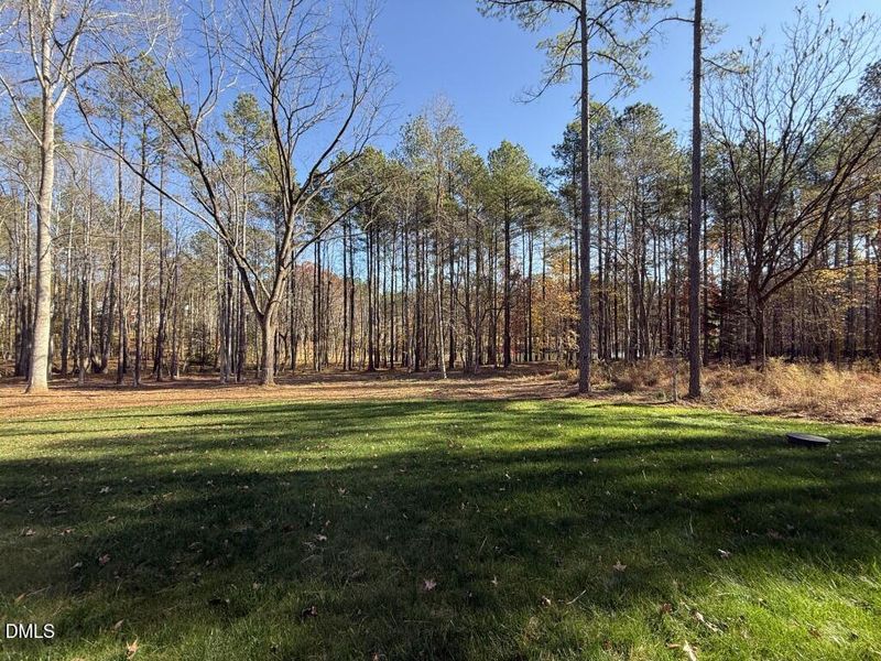 IMG_1399 2 (Medium) IMG_1399 2 (Medium)